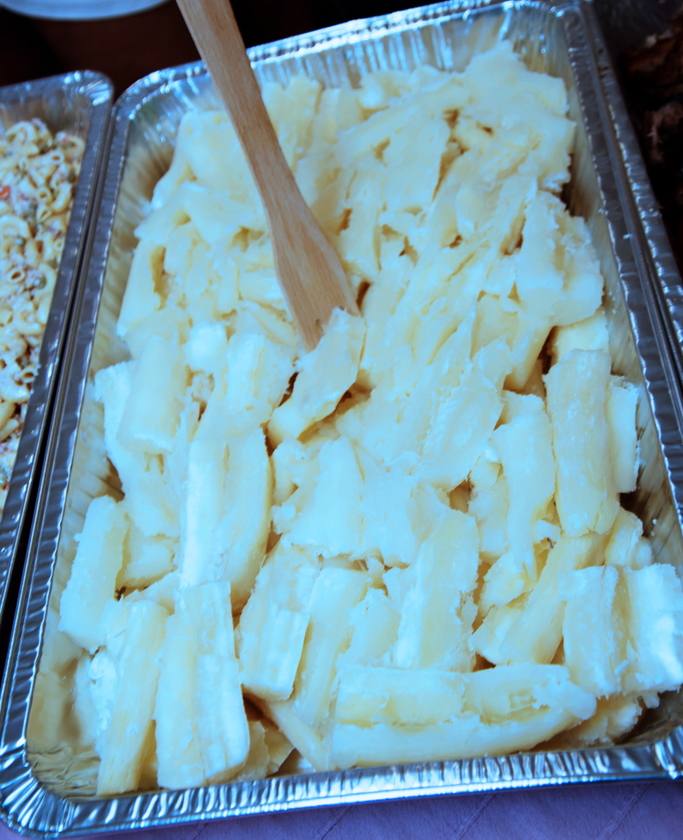 images/galleries/869/7C8A7259.JPG